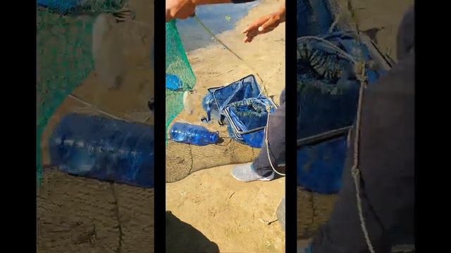 Арнасой. Джиззах. 1 сентябр 2022 г. Рыбалка uz. Сазан смотреть онлайн