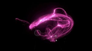 Particulate.  Виртуальные частицы.