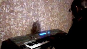 Зоновская блатная,- по этапу в специальном вагоне...