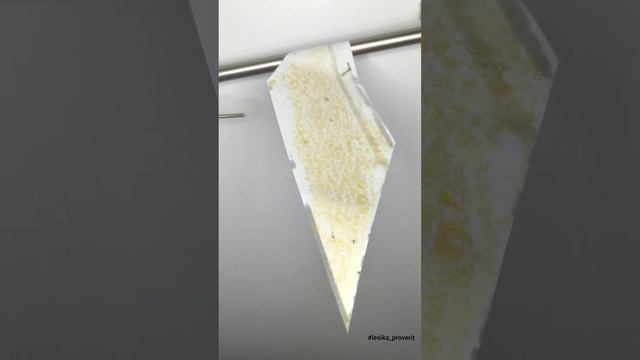 ловушка для мошек смотреть онлайн