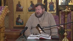 о. Олег Стеняев. Евангелие от Луки Глава 2