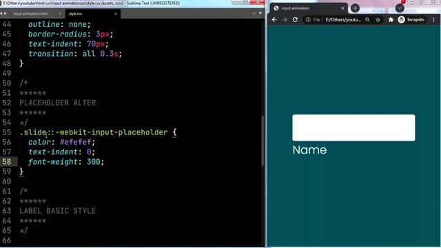 Input Animation Using Html & CSS | CSS Label Float Animations