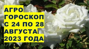 Агрогороскоп с 24 по 28 августа 2023 года. Agrohoroscope from 24 to 28 August 2023