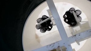 Септик Коловеси! Почему же такой крутой и дорогой? А есть ли более дешевые аналоги?