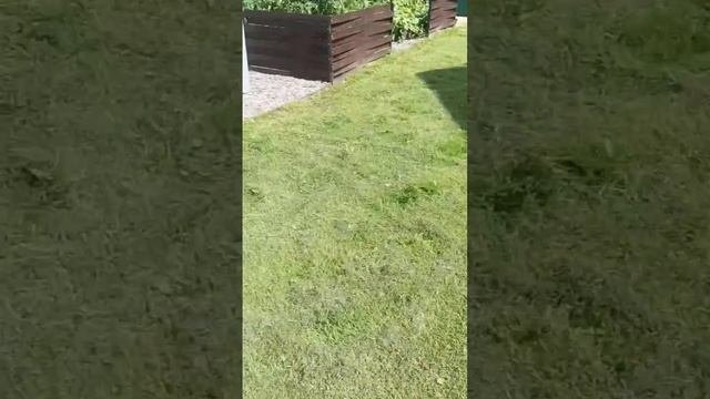 Осторожно Жора! Запрещённое видео в Таджикистане