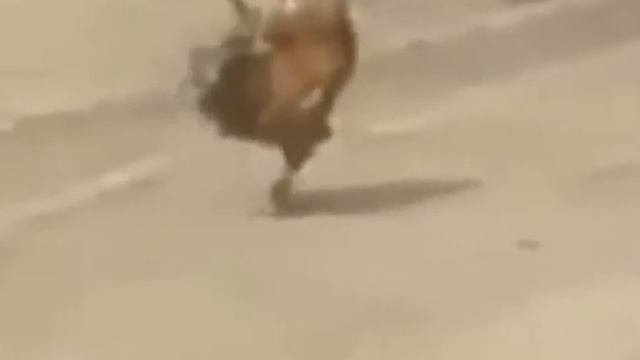 Строевая подготовка