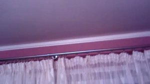 Мышь бегает по потолку