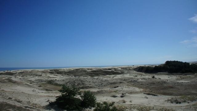 Высота Эфа Куршская коса