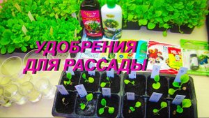 ДНЕВНИК ТАБАКОВОДА № 63 ( 25.03 Удобрения для рассады ) ТАБАК