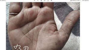 Знаки денег на руке, длинный палец, денежный треугольник. Пример на фото. Хиромантия, Василиса Дождь