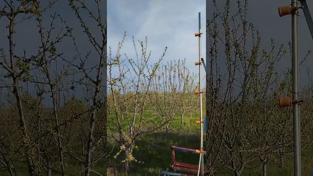 Обработка черешневого сада. Садовый опрыскиватель.