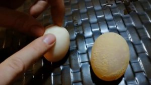 Что будет, если опустить ЯЙЦО В УКСУС?