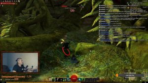 Guild wars 2 - Прохождение  [Стрим#2]