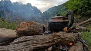 Чай май на природе