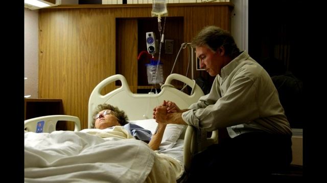 Эфирное масло гвоздики Свойства и применение смотреть онлайн