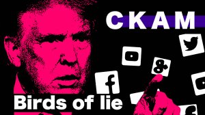 CKAM - Birds of lie