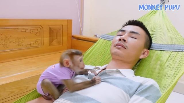 Monkey Pupu arbitrarily played with his dad phone and was discovered by his dad смотреть онлайн