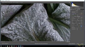 Camera Raw. Учимся работать с RAW. Базовые навыки. Всё что нужно знать для работы.