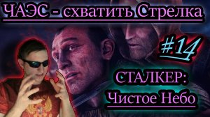СХВАТИТЬ СТРЕЛКА НА ЧАЭС ✔ СТАЛКЕР: Чистое Небо #14