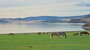 Монголын сайхан орноор