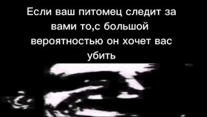 Ты услышал этот факт-7(Мистер Исключительный жуткие лица)