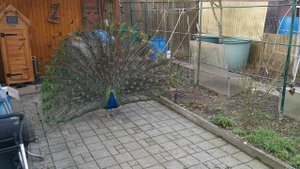 Весна пришла