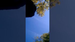 Торопова дача. Трофейный водоем!!!