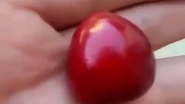 Черешня с приколом!