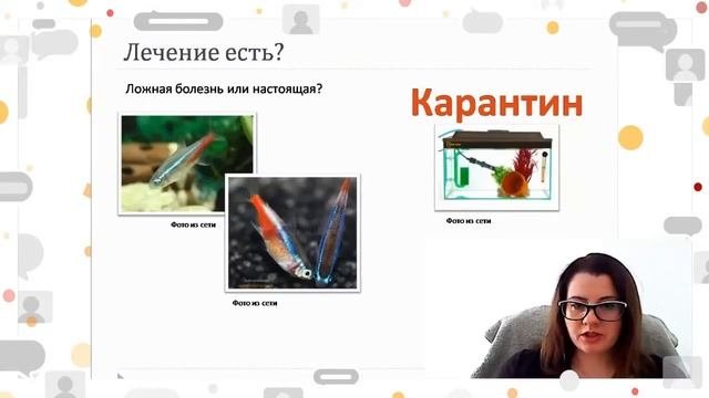 1 вебинар. Бактериальные болезни