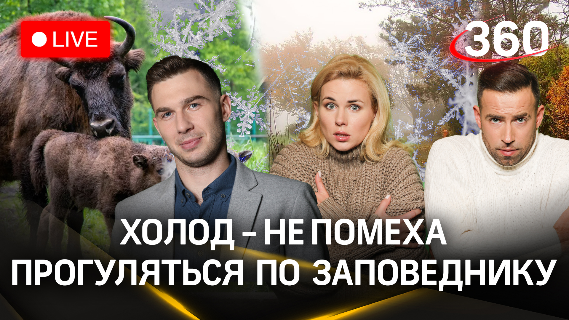 Любуемся зубрами и бережем оборудование | Погода 360. Стрим