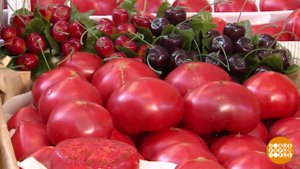 Правильные помидоры - какие? Доброе утро. Фрагмент выпуска от 24.07.2023