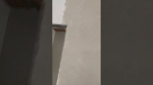 Как облагородить стены дёшево)