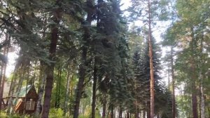 База отдыха Молодежная#Большой Еланчик