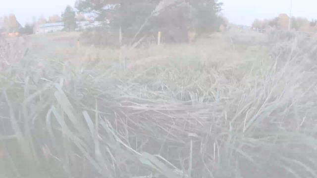 Вот почему не нужно гонять. Из личного опыта/That's why you shouldn't rush it. Personal experience. смотреть онлайн