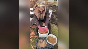 Морковь и свеклу можно сохранить до весны, у меня два супер способа, а я всегда складываю