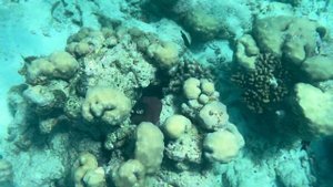 Мальдивы 2023: локальный остров Дангети и резорт Villamendhoo