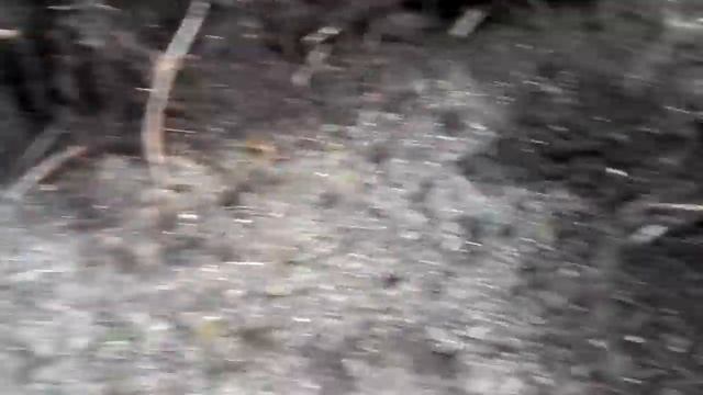 Дача выкорчёвка пней корней1
