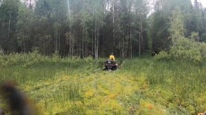 РМ 800 как сжечь вариатор CVTech