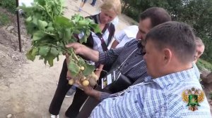 Польза и вред сельскохозяйственной химии