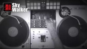 Hip Hop OldSchool RnB Rap 2000s 90s Music | DJ SkyWalker