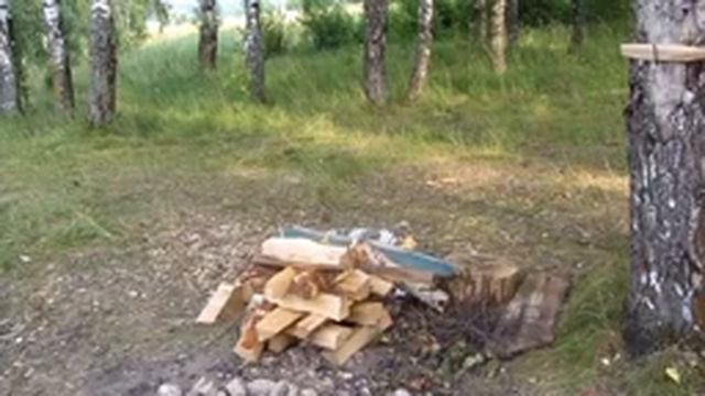 Черника есть,а комаров нет. смотреть онлайн