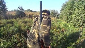 Охота на утку 2018. Охота на утку осенью с подхода с собакой