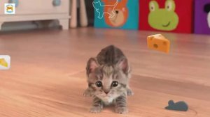 Мой маленький котёнок симулятор котика little kitten мультик игра 4K