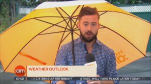 В Ирландии телеведущего сдуло ветром во время прогноза погоды