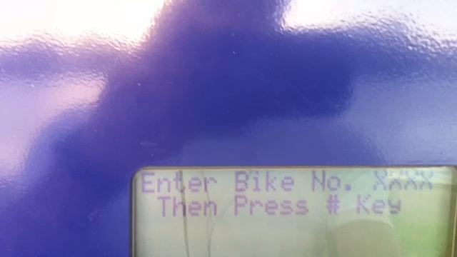 Майами № 83. Прокат велосипедов в Маями. decobike . Америка. США. смотреть онлайн