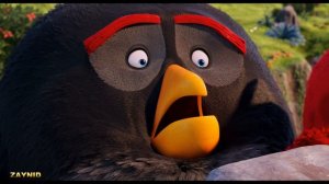 Angry Birds/ КУПАЮТСЯ В МОЧЕ