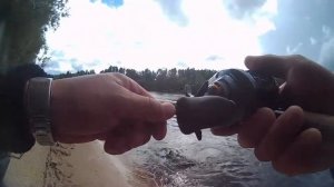 трофейчик и Major Craft Dodger 782MH