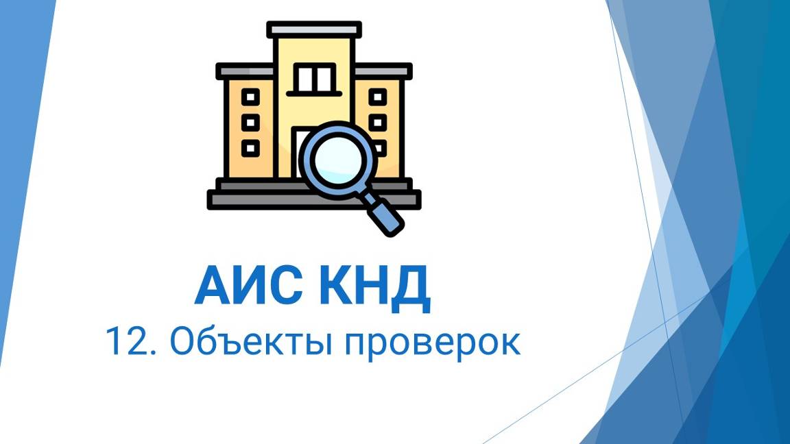 12. Объекты проверок в АИС КНД