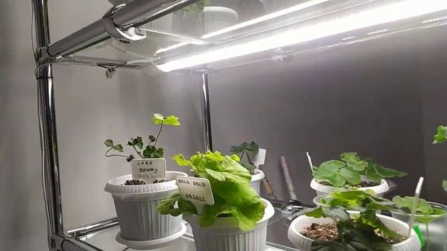 Стильный стеллаж для растений. Подробный разбор конструкции.