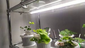 Стильный стеллаж для растений. Подробный разбор конструкции.